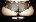 Portrait de Zorg